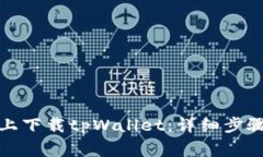 如何在苹果手机上下载tpWallet：详细步