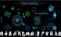 揭秘比特币最大钱包地址：资产分析与
