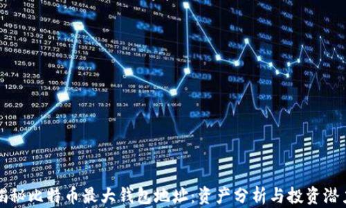 揭秘比特币最大钱包地址:资产分析与投资潜力