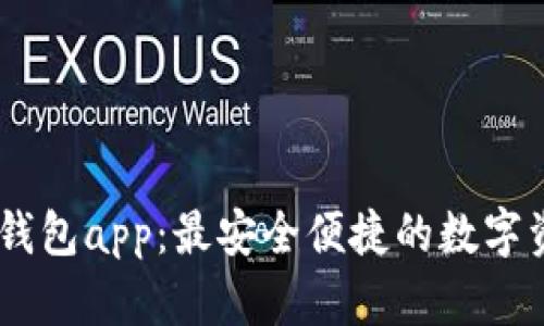 USDT稳定币钱包app:最安全便捷的数字资产管理工具