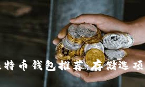 比较安全的比特币钱包推荐:存储选项及安全性分析
