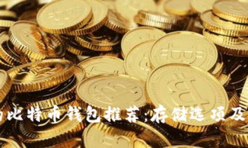 比较安全的比特币钱包推荐:存储选项及安全性分析