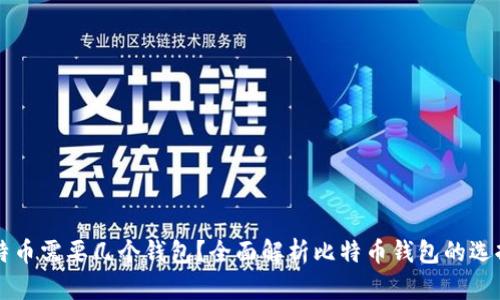玩儿比特币需要几个钱包?全面解析比特币钱包的选择与使用