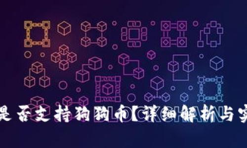 TP钱包是否支持狗狗币?详细解析与实用指南