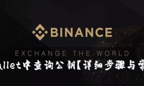 如何在tpWallet中查询公钥?详细步骤与常见问题解答