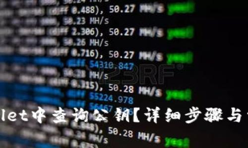 如何在tpWallet中查询公钥?详细步骤与常见问题解答