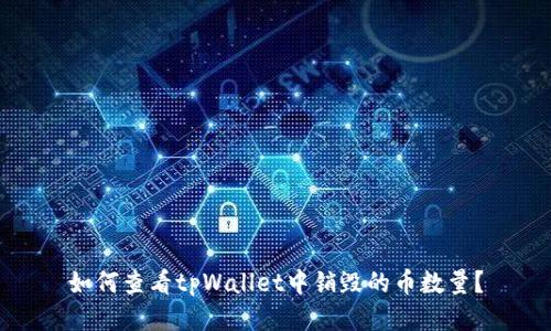 如何查看tpWallet中销毁的币数量?