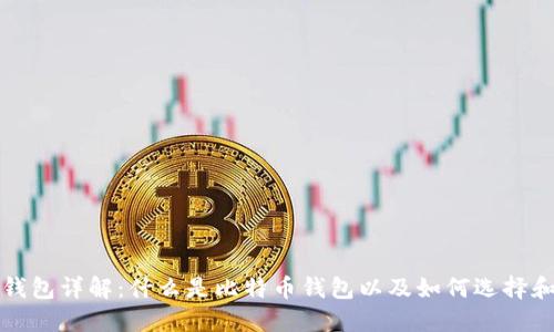 比特币钱包详解:什么是比特币钱包以及如何选择和使用它