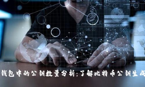比特币钱包中的公钥数量分析:了解比特币公钥生成与管理