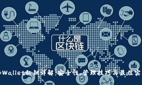 tpWallet私钥详解:安全性、管理技巧与最佳实践