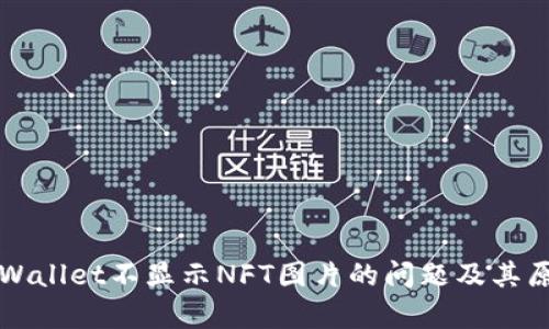 解决tpWallet不显示NFT图片的问题及其原因分析