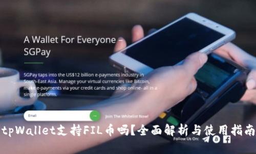 tpWallet支持FIL币吗?全面解析与使用指南