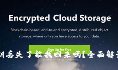 tpWallet私钥丢失了能找回来吗?全面解读与解决方案