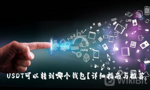 USDT可以转到哪个钱包?详细指南与推荐