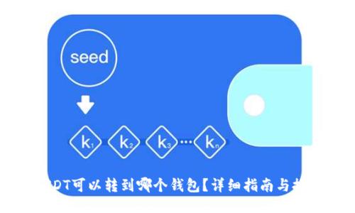 USDT可以转到哪个钱包?详细指南与推荐