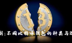 全面解析：不同比特币钱包的种类与选