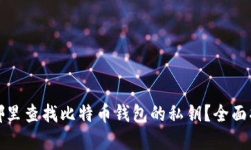 在哪里查找比特币钱包的私钥?全面指南