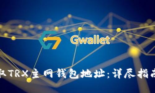 如何获取TRX主网钱包地址:详尽指南与技巧