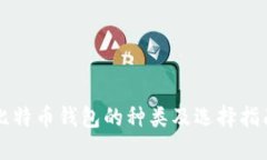 比特币钱包的种类及选择指南