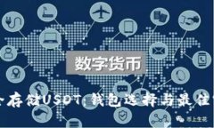 如何安全存储USDT：钱包选择与最佳实
